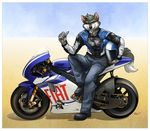  canine helmet male mammal motorbike motorcycle solo vehicle wolf 