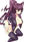  animal_ears big_breasts blush breasts cat_ears catgirl cleavage clothed clothing female hair large_breasts legwear nightmare-doom ponytail purple_hair smile solo thigh_highs thighhighs yellow_eyes 
