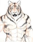  abs anthro biceps big_muscles black_fur body_markings brown_fur feline fur looking_at_viewer male mammal markings muscles nipples nude pecs plain_background pose rwolf sketch solo standing stripes tiger toned whiskers white_background 