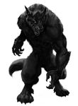  anthro beast biceps big_muscles black_claws black_fur black_nose black_tongue canine claws digitigrade ditigrade fangs front_view fur greyscale growling male mammal monochrome muscles nude open_mouth pecs plain_background pose solo standing teeth toe_claws tongue unknown_artist were werewolf white_background white_eyes wolf 