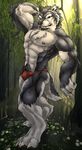  abs biceps black_nose bulge canine male muscles pecs pose solo wolf 