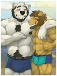  abs amwulf anthro bauske bauske_destad beach bear beard biceps big_muscles black_hair blue_eyes blush bulge chest_tuft chubby clothing facial_hair facial_piercing fangs feline friends fur grin hair lion lip_piercing male mammal mane musclegut muscles nipples pecs piercing polar_bear pubes sand seaside shorts smile swimsuit teeth tiberious topless tuft underwear water 