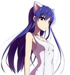  :&lt; absurdres animal_ears blue_hair breasts brown_eyes cat_ears highres idolmaster idolmaster_(classic) idolmaster_million_live! kisaragi_chihaya long_hair looking_at_viewer rariemonn small_breasts solo swimsuit 