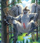  amara_telgemeier avian balls beak bird claws erection forest hammock male nipples nude one_eye_closed osprey outside penis precum solo talons tongue tongue_out tree white_feathers wings 