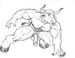  anthro balls biceps big big_muscles big_penis bovine cattle crouching fur hair half-erect hooves horn male mammal muscles nipples nude open_mouth pecs penis plain_background pose presenting pubes sketch solo sudonym thick_penis vein 