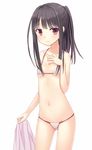  atelier_(series) atelier_meruru banned_artist bikini black_hair blush breasts groin highres holding long_hair mimi_houllier_von_schwarzlang n.g. navel ponytail purple_eyes sidelocks simple_background small_breasts smile solo standing swimsuit white_background 