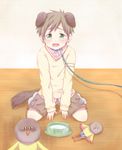  animal_ears bad_id bad_pixiv_id blush bowl brown_hair brown_shorts child collar collarbone dog_ears dog_tail dogboy free! full_body green_eyes indoors iwatobi-chan leash leash_pull male_focus open_mouth pet_bowl pet_play petboy sakurachiharu shorts solo tachibana_makoto tail tears wavy_mouth younger 