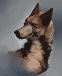  brown_fur canine dog fur grey_background katanimate looking_at_viewer mammal plain_background red_eyes solo 