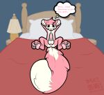 3_toes anthro anus artist_name balls bedroom black_outline blue_eyes bodily_fluids buckteeth butt claws dipstick_tail ellipsis english_text erection eyebrows feet fluffy fluffy_tail fur furniture_lamp genital_fluids genitals hand_behind_head head_tuft hi_res inner_ear_fluff kamoto_vivi looking_at_genitalia looking_at_own_penis looking_at_penis looking_at_self looking_down looking_down_at_genitalia looking_down_at_penis male male_anthro mammal markings morning_wood narrowed_eyes nude_anthro nude_male outline pawpads penis perineum pillow pink_body pink_fur pink_pawpads precum raised_eyebrows red_bedding rodent sciurid smile solo spread_legs spreading tail tail_markings teeth text thought_bubble toes tree_squirrel tuft vivi_(kamoto_vivi) white_body white_fur white_inner_ear_fluff