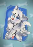 absurd_res anthro bdsm bite biting_lip blush canid canine collar english_text foreskin genitals hi_res huge_filesize humanoid_genitalia leash leash_pull leashed_collar looking_at_viewer looking_pleasured male mammal moldy pannda_(panndabolo) penis petplay puppyplay retracted_foreskin roleplay smile solo submissive submissive_male tail tail_motion tailwag text