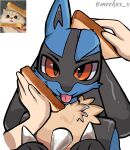 2026 3_fingers 5_fingers ambiguous_gender anthro artist_name black_body black_fur black_inner_ear black_nose blep blue_body blue_fur bread cheek_tuft chest_spike disembodied_hand duo facial_tuft fingers first_person_view food fur generation_4_pokemon grey_text hand_spike hi_res human looking_at_viewer lucario mammal meekax_x neck_tuft nintendo one_ear_up paws photography_(artwork) pokemon pokemon_(species) real red_eyes reference_image sandwiched simple_background smile spikes spikes_(anatomy) tan_body tan_fur text tongue tongue_out tuft white_background