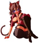  .hack//g.u. .hack//roots 1girl animal_ears bad_id bad_pixiv_id breasts brown_hair cat_ears large_breasts macha_mune purple_eyes short_hair solo tabby_(.hack//) tail thighhighs 