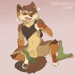 1:1 alcohol_bottle animal_genitalia anthro bent_legs beverage_bottle black_clothing black_pawpads black_shirt black_topwear bodily_fluids bottle bottomless bottomless_anthro bottomless_male brown_hair canid canine canis clothed clothing clothing_lift colored container coyote digital_drawing_(artwork) digital_media_(artwork) dipstick_tail eyes_closed fully_sheathed fur genital_fluids genitals hair hi_res male male_anthro mammal markings multicolored_body multicolored_fur navel open_mouth pawpads precum shaded sheath shirt shirt_lift short_hair sitting solo spread_legs spreading tail tail_markings taintedstar teeth topwear