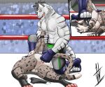 abs absurd_res anal anal_fingering anthro anus arena armlock aroused aroused_by_another aroused_face aroused_male aroused_smile ass_up audience backsack balls barazoku being_watched biceps big_butt big_muscles big_pecs black_body black_briefs black_clothing black_fur black_hair black_mask black_underwear blue_clothing blue_fingerless_gloves blue_footwear blue_gloves blue_handwear blue_socks bottomwear briefs brown_body brown_fur bulge butt butt_focus cheetah claws clothed clothing competition crowd crowd_watching defeat defeat_sex defeated discarded_briefs discarded_clothing discarded_underwear dominant dominant_anthro dominant_male domination/submission duo feet felid feline fighting_ring fingering fingering_partner fingerless_gloves foot_on_face footwear fur genitals gloves grey_body grey_bottomwear grey_clothing grey_fur grey_shorts grin grinning_at_another grinning_at_partner group hair hand_on_tail handwear hi_res hikaridraws hikaristar_art holding_tail hybrid kneeling kneeling_on_ground licking licking_lips looking_at_another looking_pleasured lucha_libre_mask luchador lying lying_on_ground male male/male mammal manhandling manly markings mask masked_male muscular muscular_anthro muscular_arms muscular_male muscular_thighs nipples on_ground on_side pantherine pecs pinned pinned_to_ground presenting presenting_body presenting_hindquarters presenting_pecs public public_nudity public_sex rear_view roughhousing secretly_loves_it sex sexual_competition sexual_fight shorts showing_off_muscles smile smirk smirking_at_another smirking_at_partner smirking_dom snow_leopard socks sports_mask sportswear spots spotted_body spotted_fur spotted_markings spotted_tail stadium stadium_lighting stepped_on stepping_on_face stepping_on_head striped_body striped_fur striped_markings striped_tail stripes subdued submissive submissive_anthro submissive_male tail tail_grab tail_markings tail_pull taunting taunting_partner teasing teasing_partner thick_arms thick_thighs tiger toeless_footwear toeless_socks tongue tongue_out topless topless_anthro topless_male tough_guy ty_(tybern) underwear voyeur wearing_mask white_body white_fur white_hair wrestler wrestler_costume wrestlers wrestling wrestling_briefs wrestling_clothing wrestling_mask wrestling_match wrestling_outfit