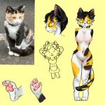 1:1 3_toes 4_fingers anthro blush body_blush domestic_cat feet felid feline felis female fingers genitals mammal reference_image toes vulva vulva_blush xiangpicaica zero_pictured