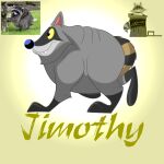 1:1 2026 ambiguous_gender black_nose character_name digital_drawing_(artwork) digital_media_(artwork) disability fangs feral fur grey_body grey_fur hi_res jimothy mammal niok pink_inner_ear procyonid raccoon reference_image shaded solo tail teeth text walking yellow_eyes yellow_text