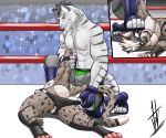 abs absurd_res anthro arena armlock aroused aroused_by_another aroused_face aroused_male ass_up audience backsack balls barazoku being_watched biceps big_butt big_muscles big_pecs black_body black_briefs black_clothing black_fur black_hair black_mask black_underwear blue_clothing blue_fingerless_gloves blue_footwear blue_gloves blue_handwear blue_socks bottomwear briefs briefs_around_legs briefs_down briefs_pull brown_body brown_fur bulge butt butt_focus cheetah claws clothed clothing clothing_around_legs clothing_pull competition crowd crowd_watching defeat defeat_sex defeated dominant dominant_anthro dominant_male domination/submission duo feet felid feline fighting_ring fingerless_gloves foot_on_face footwear fur genitals gloves grey_body grey_bottomwear grey_clothing grey_fur grey_shorts grin grinning_at_another grinning_at_partner group hair hand_on_tail handwear hi_res hikaridraws hikaristar_art holding_tail hybrid kneeling kneeling_on_ground looking_at_another lucha_libre_mask luchador lying lying_on_ground male male/male mammal manhandling manly markings mask masked_male muscular muscular_anthro muscular_arms muscular_male muscular_thighs nipples on_ground on_side pantherine partially_clothed pecs pinned pinned_to_ground presenting presenting_body presenting_hindquarters presenting_pecs public public_nudity public_sex rear_view roughhousing secretly_loves_it sex sexual_competition sexual_fight shorts showing_off_muscles smile smirk smirking_at_another smirking_at_partner smirking_dom snow_leopard socks sports_mask sportswear spots spotted_body spotted_fur spotted_markings spotted_tail stadium stadium_lighting stepped_on stepping_on_face stepping_on_head striped_body striped_fur striped_markings striped_tail stripes subdued submissive submissive_anthro submissive_male tail tail_grab tail_markings tail_pull taunting taunting_partner teasing teasing_partner thick_arms thick_thighs tiger toeless_footwear toeless_socks topless topless_anthro topless_male tough_guy ty_(tybern) underwear underwear_around_legs underwear_down underwear_pull voyeur wearing_mask white_body white_fur white_hair wrestler wrestler_costume wrestlers wrestling wrestling_briefs wrestling_clothing wrestling_mask wrestling_match wrestling_outfit