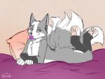 2018 4_toes 5_fingers 5_tails anthro arms_bent artist_name bed bent_legs biped black_body black_eyebrows black_fur black_nose butt canid canine cheek_tuft chest_tuft closed_smile colored condom condom_in_mouth crossed_arms digital_drawing_(artwork) digital_media_(artwork) dipstick_tail english_description eyebrows facial_tuft featureless_chest feet fingers fluffy fluffy_tail fox fox_spirit fur furniture gintsu_(gintsukitsune) grey_body grey_fur grey_tail hair inside lidded_eyes light lighting lying lying_on_bed male mammal markings mouth_closed mouth_hold multi_tail multicolored_body multicolored_fur nude nude_anthro nude_male object_in_mouth on_bed on_front pawpads purple_blanket red_eyes sexual_barrier_device shianko short_hair slim_anthro slim_male smile solo spirit tail tail_markings tan_pawpads tasteful_nudity text toes tuft two_tone_tail white_body white_fur white_hair white_inner_ear white_sclera white_tail_tip