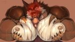 angry anthro barazoku beard blush bodily_fluids canid canine canis degradation domestic_dog facial_hair first_person_view fur garnett genitals german_shepherd herding_dog hi_res looking_at_viewer male male/male male_on_bottom mammal mature_anthro mature_male muscular muscular_anthro muscular_male nipples on_bottom orange_body orange_fur pastoral_dog pecjob pecs penis pinumontbalou saliva sex submissive submissive_anthro submissive_male sweat vein veiny_muscles veiny_penis