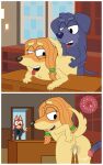 4_fingers 5:8 absurd_res adult_(lore) afghan_hound aged_up ahegao anthro anthro_on_anthro anus australian_kelpie being_watched bent_over bent_over_desk bent_over_furniture bird_dog bluey_(series) bodily_fluids butt canid canine canis caught_in_the_act chest_tuft clothed clothed_anthro clothed_male clothing comic cuckold cuckold_impregnation cum cum_drip cum_from_vagina cum_in_vagina cum_inside cum_on_penis cum_string domestic_dog door dripping duo_focus eyelashes facial_hair female female_penetrated fingers freckles from_behind_position genital_fluids genitals group hair hand_on_butt head_tuft heart_symbol herding_dog hi_res humanoid_genitalia humanoid_penis hunting_dog impregnation indy_(bluey) jean-luc_(bluey) labrador long_hair looking_at_another looking_back looking_down looking_pleasured male male/female male_penetrating male_penetrating_female mammal motion_lines multiple_angles narrowed_eyes nude nude_anthro nude_female nude_male office opening_door ovum ovum_with_heart pastoral_dog penetration penile penile_penetration penis penis_in_vagina picture_frame platform_standing_doggystyle raised_tail raznuviro rear_view retriever reverse_table_lotus_position rusty_(bluey) sex sheepdog shelf sighthound smile sperm_cell squint standing standing_doggystyle standing_sex surprised tail teeth tongue tongue_out trio tuft two_panel_image vaginal vaginal_fluids vaginal_penetration walk-in window yellow_body