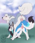 2026 alternate_color animal_genitalia animal_vulva anus barndog barndog_(barndog) black_body black_fur black_nose blue_body blue_fur blue_nose blush border_collie butt canid canine canine_genitalia canine_vulva canis chest_tuft collie digital_drawing_(artwork) digital_media_(artwork) dipstick_tail domestic_dog duo eevee female female_feral feral feral_with_hair flat_colors fluffy fluffy_tail fur fur_tuft generation_1_pokemon genitals hair herding_dog hi_res inviting inviting_viewer ithilwen_galanodel looking_at_viewer looking_back looking_back_at_viewer mammal markings medium_hair multicolored_body multicolored_fur multicolored_hair neck_tuft nintendo on_top_of_another pastoral_dog paws pink_anus pink_vulva pivoted_ears pokemon pokemon_(species) presenting presenting_anus presenting_hindquarters presenting_vulva quadruped raised_tail rear_view sheepdog snout straight_hair tail tail_markings take_your_pick tongue tongue_out tuft two_tone_body two_tone_fur vulva white_body white_fur