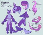 absurd_res animal_genitalia animal_penis anthro aquatic balls bodily_fluids canid canine canine_genitalia canine_penis canis cervix cetacean cetacean_genitalia cetacean_penis character_name coyote dawgluvr diagram dolphin dripping english_text erection fallopian_tubes fin flaccid fur genital_fluids genital_slit genitals herm hi_res humanoid hybrid hybrid_genitalia hybrid_penis internal internal_vaginal intersex intersex_anthro knot knotted_penis knotted_tapering_penis maleherm maleherm_anthro mammal model_sheet neptune(dawgluvr) nipples nude_anthro nude_maleherm oceanic_dolphin orca ovaries penis precum precum_drip profanity purple_body purple_fur purple_skin sharp_teeth slit_penis solo tapering_penis teeth teeth_showing text tongue tongue_out toothed_whale uterus vein veiny_penis vulva whale