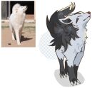 2026 ambiguous_gender canid canine canis claws domestic_dog eyes_closed feral fur generation_3_pokemon grey_body grey_fur hi_res korean_jindo mammal mightyena nintendo paws photography_(artwork) pokemon pokemon_(species) reference_image seta629211 simple_background solo spitz tail white_body white_fur