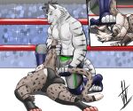 abs absurd_res anthro arena armlock aroused aroused_by_another aroused_face aroused_male ass_up audience barazoku being_watched biceps big_butt big_muscles big_pecs black_body black_briefs black_clothing black_fur black_hair black_mask black_underwear blue_clothing blue_fingerless_gloves blue_footwear blue_gloves blue_handwear blue_socks bottomwear briefs brown_body brown_fur bulge butt butt_focus cheetah claws clothed clothing competition crowd crowd_watching defeat defeat_sex defeated dominant dominant_anthro dominant_male domination/submission duo feet felid feline fighting_ring fingerless_gloves foot_on_face footwear fur gloves grey_body grey_bottomwear grey_clothing grey_fur grey_shorts grin grinning_at_another grinning_at_partner group hair hand_on_tail handwear hi_res hikaridraws hikaristar_art holding_tail hybrid kneeling kneeling_on_ground looking_at_another lucha_libre_mask luchador lying lying_on_ground male male/male mammal manhandling manly markings mask masked_male muscular muscular_anthro muscular_arms muscular_male muscular_thighs nipples on_ground on_side pantherine pecs pinned pinned_to_ground presenting presenting_body presenting_hindquarters presenting_pecs public public_sex rear_view roughhousing secretly_loves_it sex sexual_competition sexual_fight shorts showing_off_muscles smile smirk smirking_at_another smirking_at_partner smirking_dom snow_leopard socks sports_mask sportswear spots spotted_body spotted_fur spotted_markings spotted_tail stadium stadium_lighting stepped_on stepping_on_face stepping_on_head striped_body striped_fur striped_markings striped_tail stripes subdued submissive submissive_anthro submissive_male tail tail_grab tail_markings tail_pull taunting taunting_partner teasing teasing_partner thick_arms thick_thighs tiger toeless_footwear toeless_socks topless topless_anthro topless_male tough_guy ty_(tybern) underwear voyeur wearing_mask white_body white_fur white_hair wrestler wrestler_costume wrestlers wrestling wrestling_briefs wrestling_clothing wrestling_mask wrestling_match wrestling_outfit