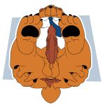 1:1 20th_century_fox absurd_res accessory animal_genitalia animal_penis anthro anus balls bear blue_necktie bob-jiggles body_hair bottomless bottomless_male brown_body brown_fur butt butt_hair claws clothed clothing collared_shirt disney dress_shirt erection feet_up finger_claws fur genitals half-closed_eyes hand_on_butt head_tuft hi_res looking_at_viewer looking_down lying male mammal narrowed_eyes necktie on_back orange_body orange_fur overweight overweight_anthro overweight_male pawpads penis presenting presenting_anus presenting_hindquarters shirt simple_background solo spread_anus spreading tail the_cleveland_show tim_the_bear toe_claws topwear tuft vein veiny_penis