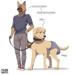 3_toes 5_fingers absurd_res all_fours anthro barking bird_dog blue_clothing blue_shirt blue_topwear blue_underwear bottomwear brown_body brown_eyes brown_fur brown_tail bulge bulge_from_behind canid canine canis clothing collar condescending dialogue digitigrade domestic_dog duo english_text feces feet feral fingers floppy_ears footwear fur german_shepherd golden_retriever good_boy grey_bottomwear grey_clothing grey_pants herding_dog hi_res holding_leash holding_object hunting_dog jager-darklite leash leashed_collar leashed_male looking_down looking_down_at_another looking_pleasured male mammal one_eye_closed onomatopoeia orange_body orange_fur orange_tail pants pastoral_dog plantigrade pointy_ears red_clothing red_footwear red_shoes red_tongue retriever shirt shoes soiling sound_effects speech_bubble standing tail tan_body tan_fur text toes tongue tongue_out topwear underwear watermark wearing_pants wearing_shirt wearing_underwear white_sclera wink yellow_body yellow_fur yellow_tail