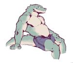 2024 aliasing alligatorid anthro binary_drawing biped blue_bottomwear blue_clothing blue_shorts bottomwear closed_smile clothed clothed_anthro clothed_male clothing countershade_arms countershade_face countershade_hands countershade_legs countershade_neck countershade_tail countershade_torso countershading crocodilian digital_drawing_(artwork) digital_media_(artwork) dorsal_ridge empty_eyes fingers front_view green_body kingarthur_i looking_aside male mouth_closed pecs portrait pose reptile scalie shorts simple_background sitting smile snout solo tail tail_ridge tan_body tan_countershading three-quarter_portrait topless topless_anthro topless_male white_background white_eyes