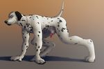  anthro blue_eyes canine claws cross dalmatian dog looking_at_viewer male mammal necklace nude penis penis_tip pose sheath smile solo spots spotted virtyalfobo 