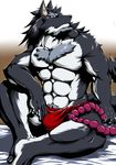  abs anthro biceps big_muscles black_fur black_nose blue_eyes bulge canine chest chest_tuft claws fur grin loincloth looking_at_viewer male mammal muscles pecs pose pubes raised_leg sitting smile solo toe_claws toned topless tuft undressing white_fur wolf 
