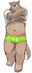  canine chubby clothing eyebrows kemono kitajiro2 male mammal navel plain_background pose shirt solo underwear undressing white_background 