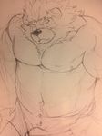  clothing eyebrows feline kemono kitajiro2 lion male mammal muscles navel nipples plain_background sketch solo underwear 