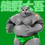  anthro bear biceps black_bear chubby fur looking_at_viewer male mammal musclegut scar shiba-kenta solo speedo swimsuit topless wrestler 