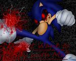  2013 ? blood creepypasta do_not_want_to_play_with_me_? english_text eyes. gloves grimdark hedgehog invalid_tag mammal sega smile sonic.exe sonic_(series) text 