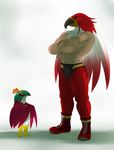  ambiguous_gender angry avian beak biceps bird black_eyes boots bulge claws clothing crossed_arms crossover fatal_fury feathers footwear frown fur garou:_mark_of_the_wolves green_eyes green_fur hawlucha hi_res human king_of_fighters looking_down looking_up male mammal manly mask muscles navel nintendo nude orange_fur pants pecs plain_background pok&#233;mon pok&eacute;mon red_body red_fur shadow sharp_claws shiny shoes size_difference sssonic2 standing the_griffon_mask tizoc toned topless video_games white_background white_fur wings wrestler yellow_eyes 