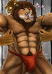  anthro biceps big_muscles bulge clothing duo feline fundoshi fur gawein-dragon gay hair kemono lion male mammal muscles nipple_pinch nipples nude pecs pubes tiger toned topless underwear 