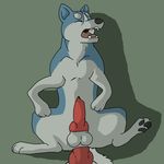  canine dog gay ginga_densetsu_weed grimace knot male mammal murderous penis weed_(character) 