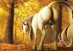  anus balls equine feral forest fulguris fur hooves horn horse jackrow leaves looking_at_viewer looking_back male mammal nude raised_tail sheath solo tree unicorn white_fur 