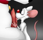  animaniacs brian_griffin canine cum dog family_guy gay johnofe male mouse penis pinky rodent size_difference warner_brothers 