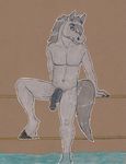  anthro balls black_penis blue_eyes dapple_grey equine flaccid flared_penis fur grey_fur grey_hair hair hooves horse horsecock invalid_tag jupiterfox looking_at_viewer male mammal navel penis pose sitting solo traditional_media water 