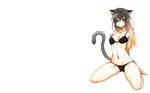  191karasu animal_ears bikini black_hair blue_eyes catgirl long_hair navel original swimsuit tail white 