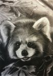  cute dbruin mammal monochrome pencil red_panda solo 