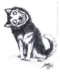  ambiguous_gender black_nose canine creepy creepypasta dog dredshift feral grin headtilt husky looking_at_viewer mammal nightmare_fuel no_pupils plain_background sketch smile smile.dog solo teeth 