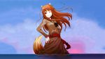  animal_ears brown clouds hair horo long_hair red_eyes sky spice_and_wolf stars style:photoshop sunset tail water wolfgirl 