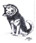  2008 ambiguous_gender black_nose canine creepy creepypasta dog feral grin headtilt husky looking_at_viewer nightmare_fuel no_pupils plain_background sketch smile smile.dog solo teeth 