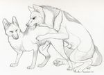  animal_genitalia bite canine canine_penis duo feral feral_on_feral fox from_behind gay greyscale male mammal monochrome paper-wings paper_wings penis penis_tip sheath sketch wolf 