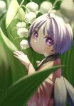  1girl absurdres ahoge blurry closed_mouth commentary_request depth_of_field flower hasukappu highres japanese_clothes kimono lily_of_the_valley long_sleeves looking_at_viewer mini_person minigirl missing_headwear obi outdoors pink_kimono purple_eyes purple_hair sash short_hair solo sukuna_shinmyoumaru touhou white_flower wide_sleeves 